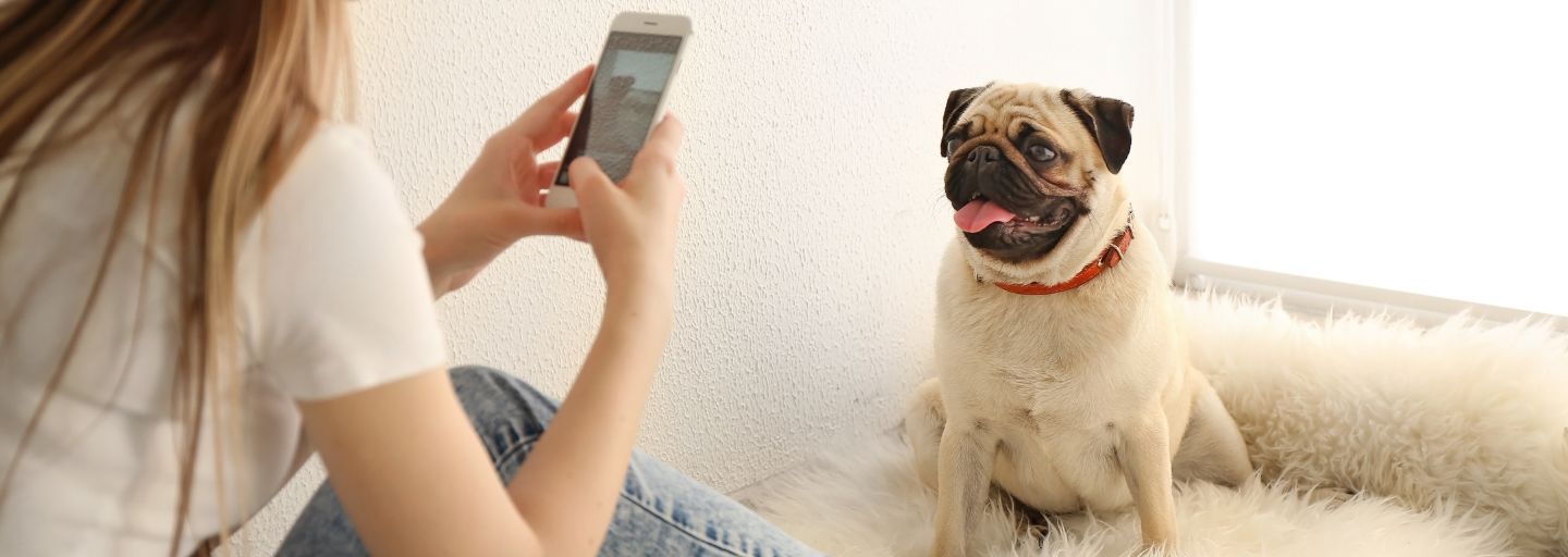 Girl taking a photo of her dog