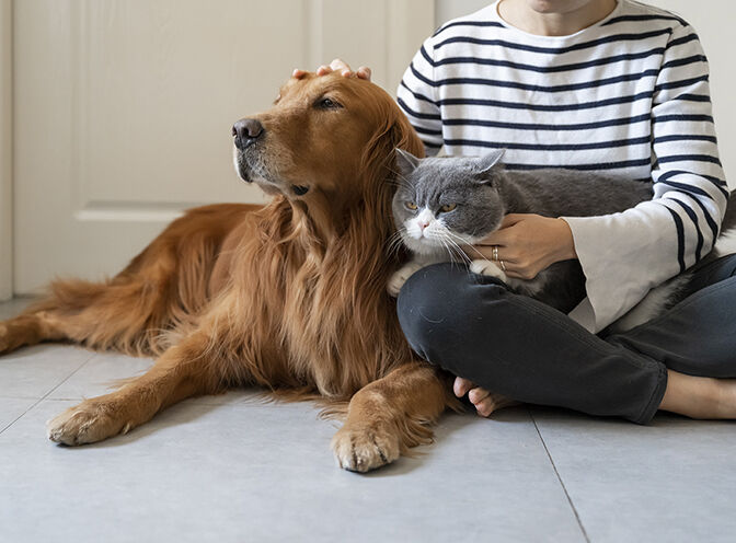 cat and dog with owner on the floor