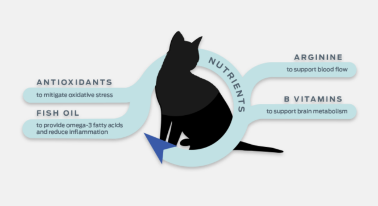 Cat on a white background with text around nutrients and benefits
