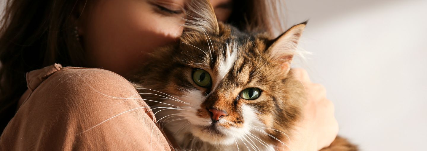 Women hugging a cat