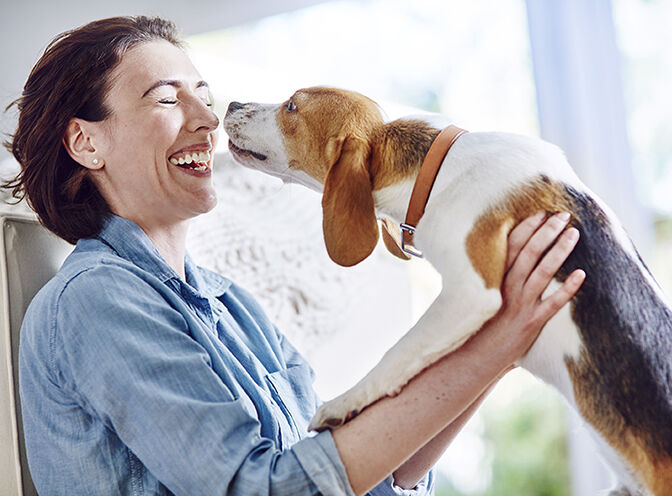 woman smiling and holding a dog while its trying to touch her nose