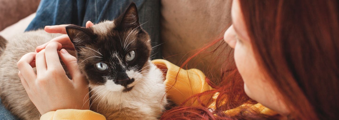 Happy young woman hugging and petting cat.
