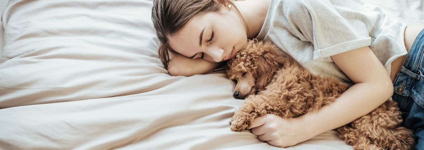 Owner and Puppy cuddling on the lounge
