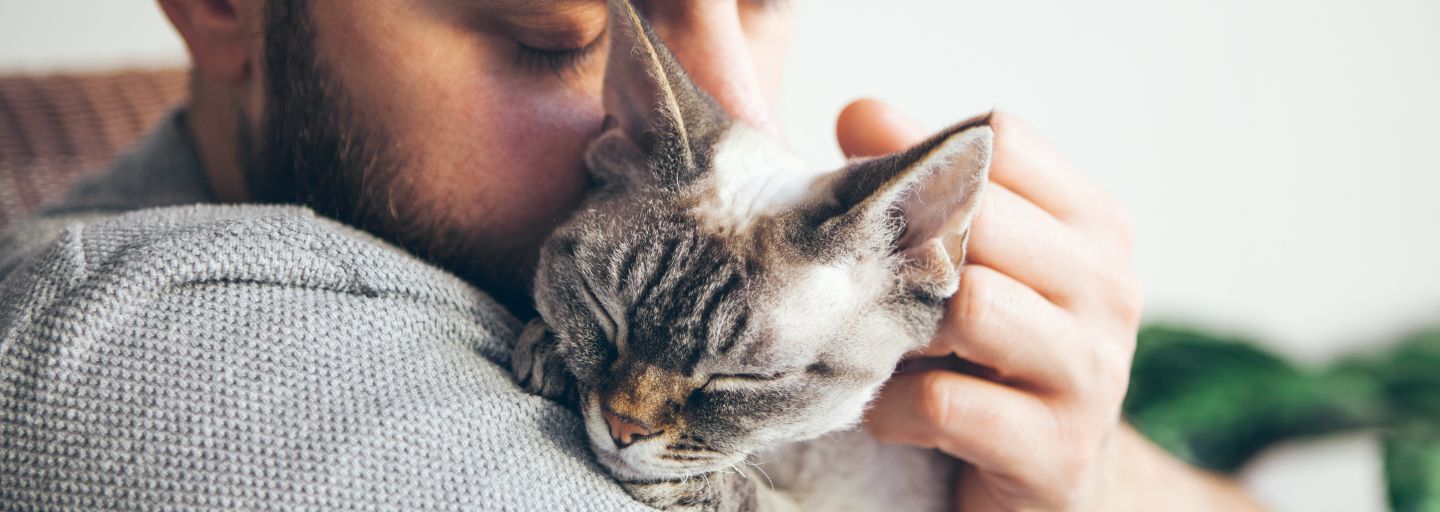 owner kissing and hugging cat