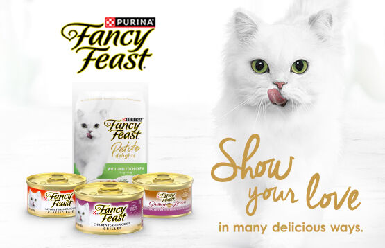 Fancy Feast cat foods' 3 textures displayed on a plate