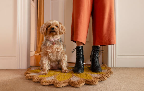 Puppy standing on a doormat next to owner 