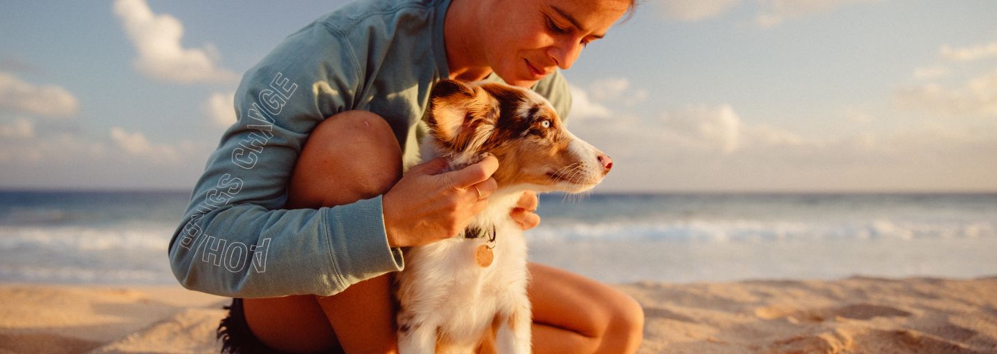 Dog and owner sitting together on the beach