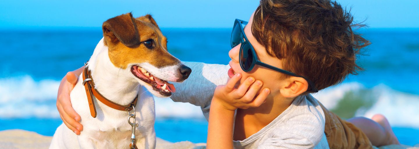 boy with his dog on the beach