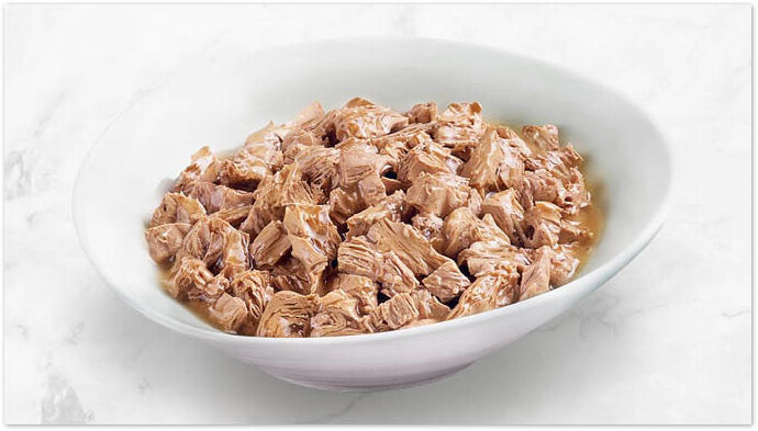Fancy Feast - classic cat food in bowl