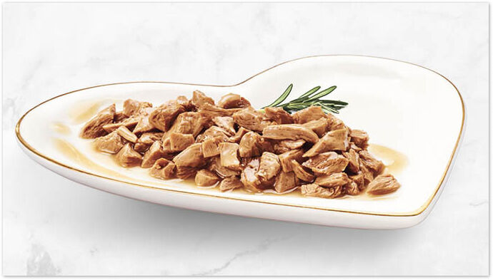Fancy Feast - Petite Delights cat food on a heart shaped plate