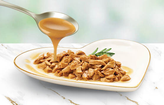 Fancy Feast - petite delights on a plate with sauce dripping from spoon.