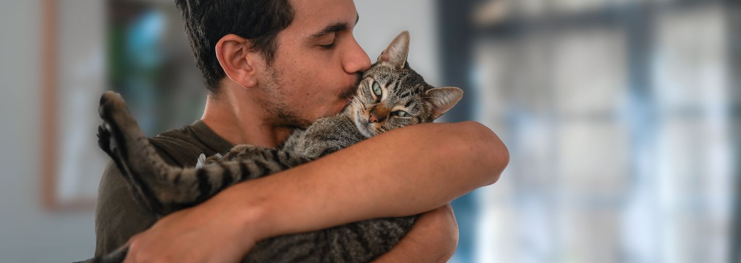 Owner kissing cat on the head