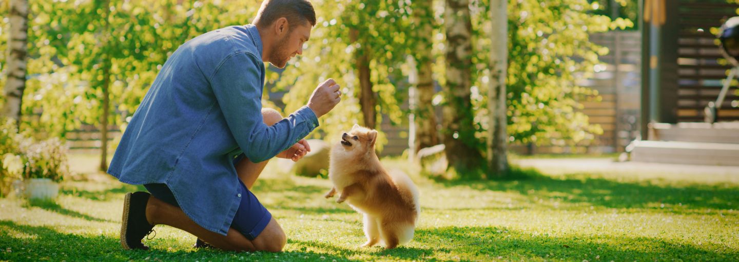 Owner rewarding dog with a treat in the park