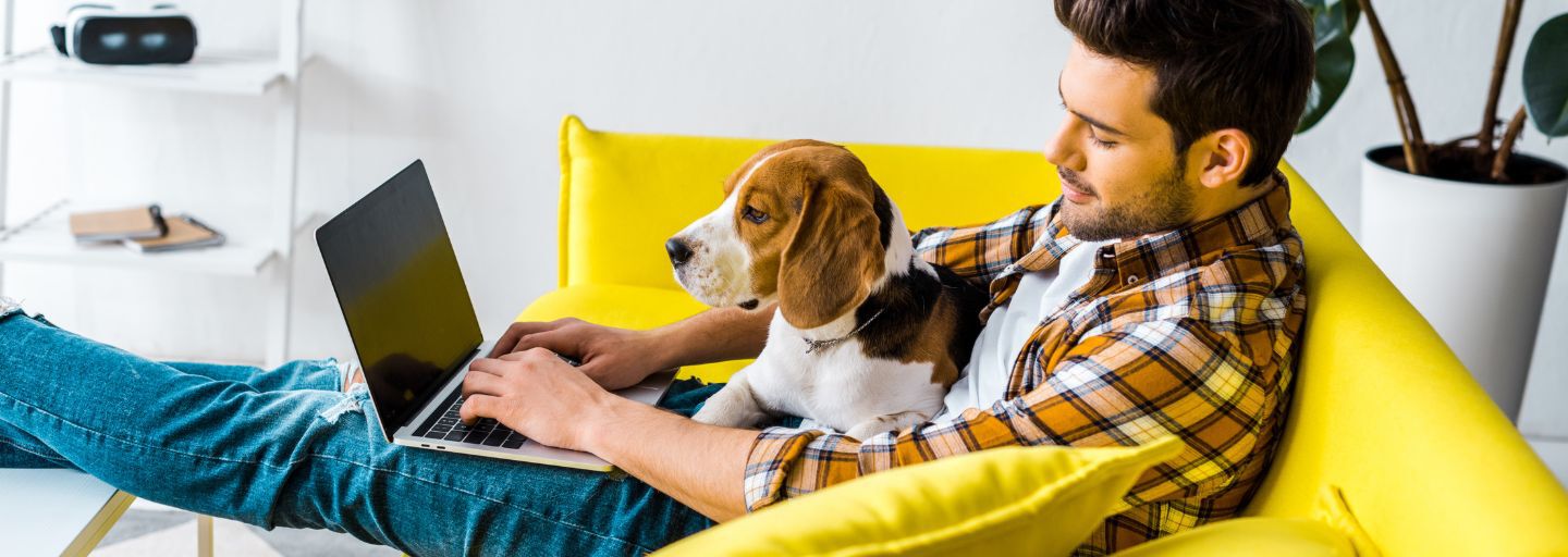 Dog on his owner's lap while the owner is working on laptop