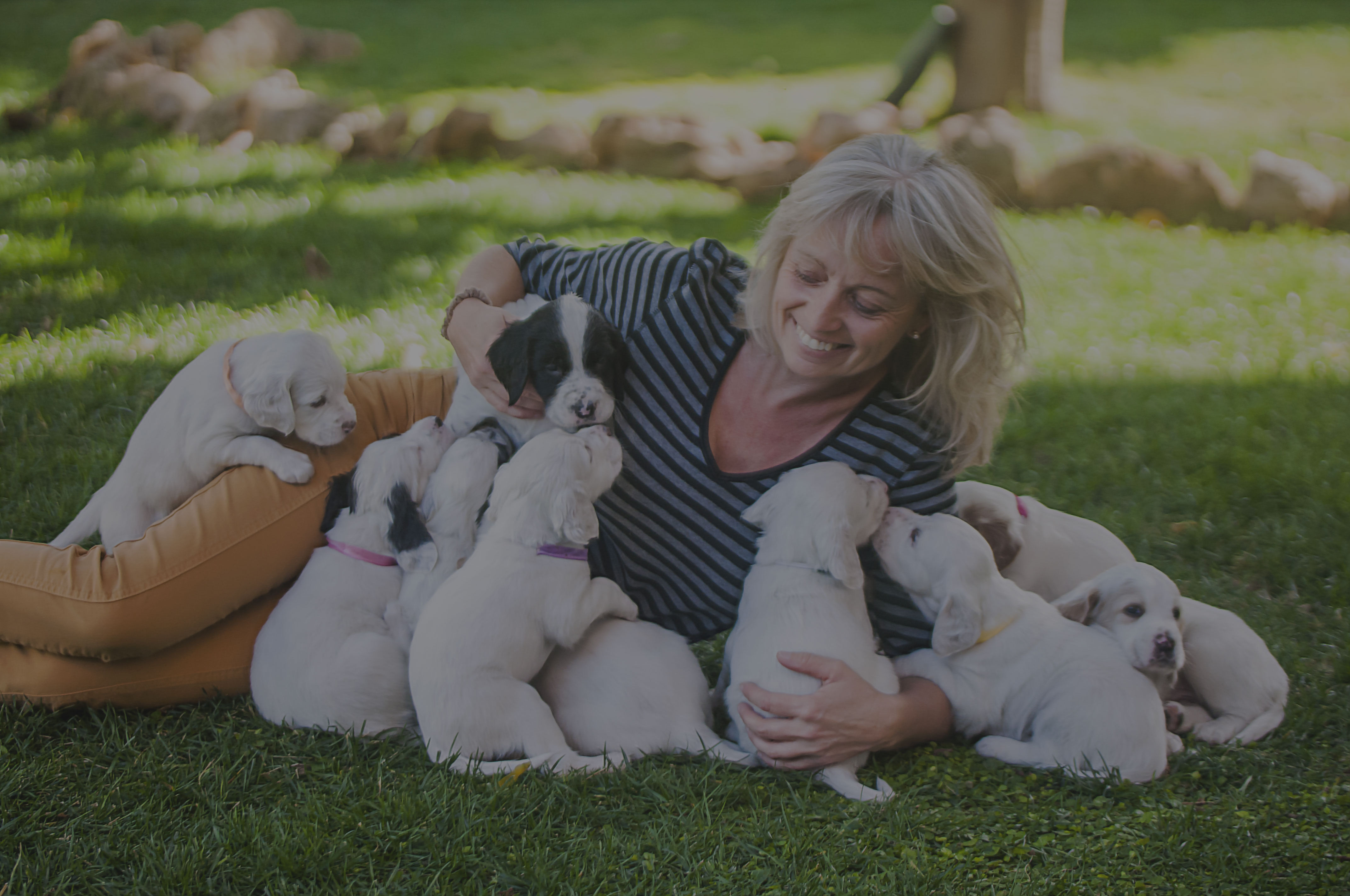Dog breeder with puppies