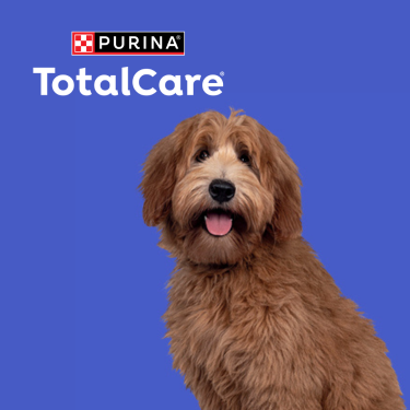 Purina total care chocolate worming treatment online