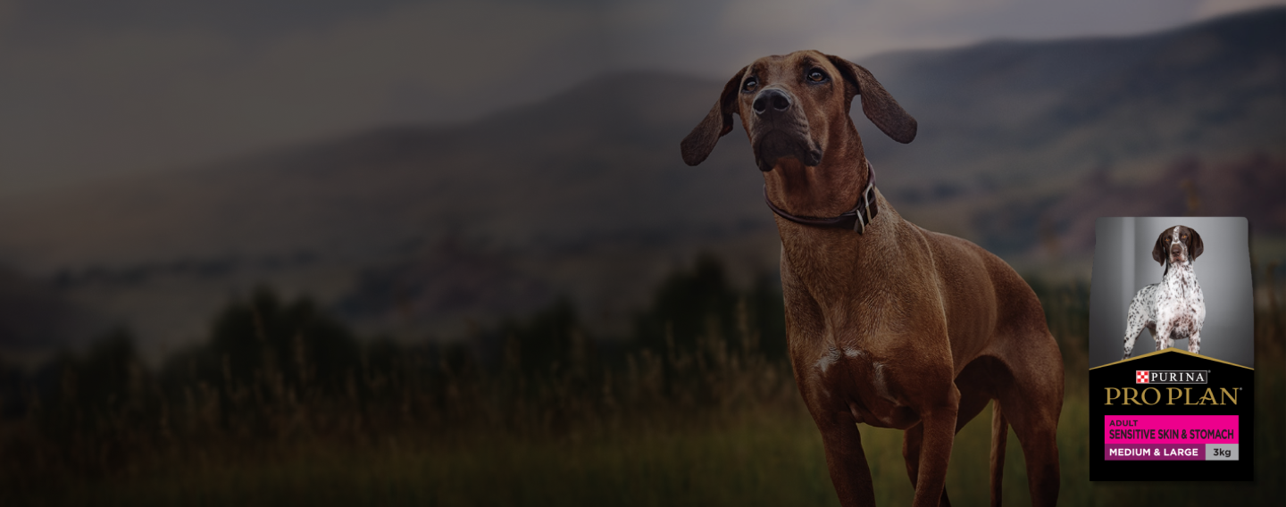 Pro Plan Dog Nutrition Purina Australia