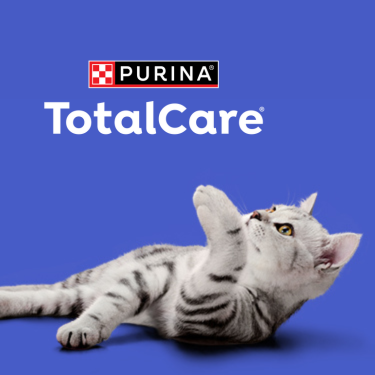 Purina total care allwormer cats outlet