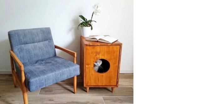 cat sitting in cat litter cabinet