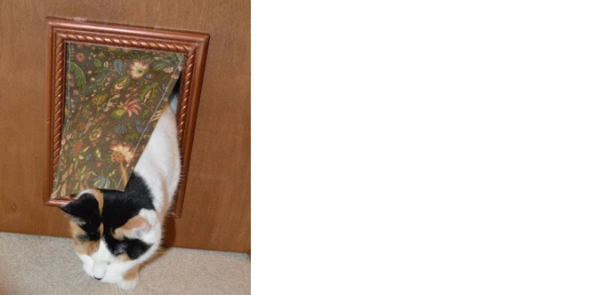 Fancy cat door discount