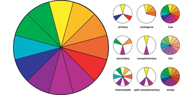 color guide chart